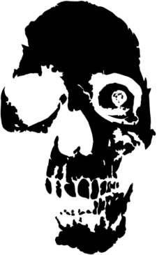 BLAKKSKULL